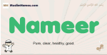 Nameer muslim boys name and meaning, islamic boys name Nameer