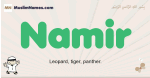 Namir muslim boys name and meaning, islamic boys name Namir