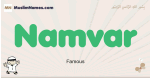 Namvar muslim boys name and meaning, islamic boys name Namvar