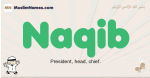 Naqib muslim boys name and meaning, islamic boys name Naqib