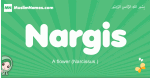 Nargis arabic girl name and meaning, quranic girls name Nargis