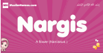 Nargis arabic girls name and meaning, muslim girl name Nargis