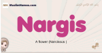 Nargis muslim girls name and meaning, islamic girls name Nargis
