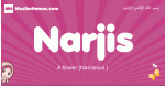 Narjis arabic girls name and meaning, muslim girl name Narjis