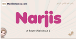 Narjis muslim girls name and meaning, islamic girls name Narjis