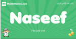 Naseef arabic boys name and meaning, quranic boys name Naseef