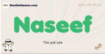 Naseef muslim boys name and meaning, islamic boys name Naseef