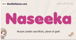 Naseeka muslim girls name and meaning, islamic girls name Naseeka