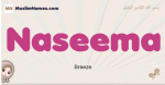 Naseema muslim girls name and meaning, islamic girls name Naseema