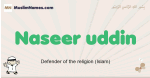 Naseer-uddin muslim boys name and meaning, islamic boys name Naseer-uddin