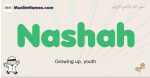 Nashah muslim boys name and meaning, islamic boys name Nashah