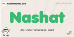 Nashat muslim boys name and meaning, islamic boys name Nashat