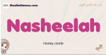 Nasheelah muslim girls name and meaning, islamic girls name Nasheelah