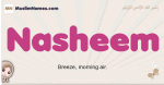 Nasheem muslim girls name and meaning, islamic girls name Nasheem