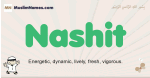 Nashit muslim boys name and meaning, islamic boys name Nashit