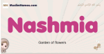 Nashmia muslim girls name and meaning, islamic girls name Nashmia