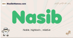 Nasib muslim boys name and meaning, islamic boys name Nasib