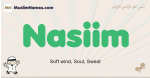 Nasiim muslim boys name and meaning, islamic boys name Nasiim
