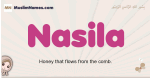 Nasila muslim girls name and meaning, islamic girls name Nasila