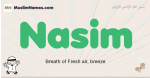 Nasim muslim boys name and meaning, islamic boys name Nasim