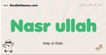 Nasr-ullah muslim boys name and meaning, islamic boys name Nasr-ullah