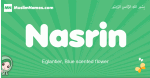 Nasrin arabic girl name and meaning, quranic girls name Nasrin