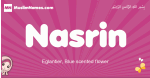 Nasrin arabic girls name and meaning, muslim girl name Nasrin