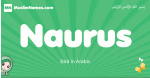 Naurus arabic girl name and meaning, quranic girls name Naurus