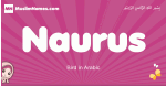 Naurus arabic girls name and meaning, muslim girl name Naurus