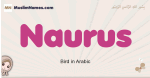 Naurus muslim girls name and meaning, islamic girls name Naurus