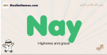Nay muslim boys name and meaning, islamic boys name Nay