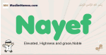 Nayef muslim boys name and meaning, islamic boys name Nayef