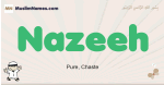 Nazeeh muslim boys name and meaning, islamic boys name Nazeeh
