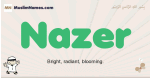 Nazer muslim boys name and meaning, islamic boys name Nazer
