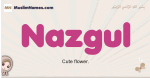 Nazgul muslim girls name and meaning, islamic girls name Nazgul