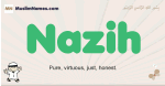 Nazih muslim boys name and meaning, islamic boys name Nazih