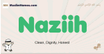 Naziih muslim boys name and meaning, islamic boys name Naziih