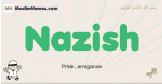 Nazish muslim boys name and meaning, islamic boys name Nazish