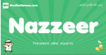 Nazzeer arabic boys name and meaning, quranic boys name Nazzeer