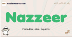 Nazzeer muslim boys name and meaning, islamic boys name Nazzeer