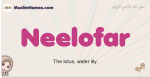 Neelofar muslim girls name and meaning, islamic girls name Neelofar