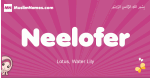 Neelofer arabic girls name and meaning, muslim girl name Neelofer
