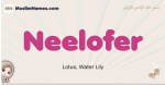 Neelofer muslim girls name and meaning, islamic girls name Neelofer