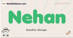 Nehan muslim boys name and meaning, islamic boys name Nehan