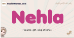 Nehla muslim girls name and meaning, islamic girls name Nehla
