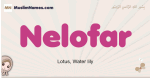 Nelofar muslim girls name and meaning, islamic girls name Nelofar