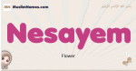 Nesayem muslim girls name and meaning, islamic girls name Nesayem