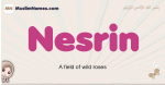 Nesrin muslim girls name and meaning, islamic girls name Nesrin