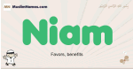 Niam muslim boys name and meaning, islamic boys name Niam