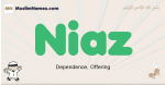 Niaz muslim boys name and meaning, islamic boys name Niaz